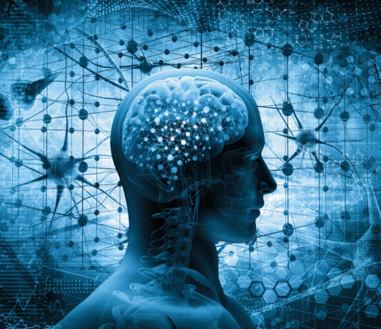 ¿Qué es la neurociencia? | Cómo se comporta nuestra mente Qué es la neurociencia. Cómo se comporta nuestra mente