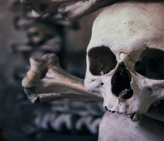 ¿Cuál es el hueso más pequeño del cuerpo humano? | ¡Sorpréndente! Hueso Más Pequeño