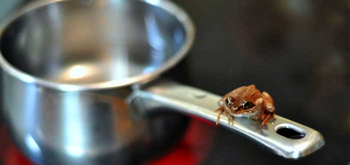 Síndrome de la rana hervida | NO percepción de las amenazas graduales