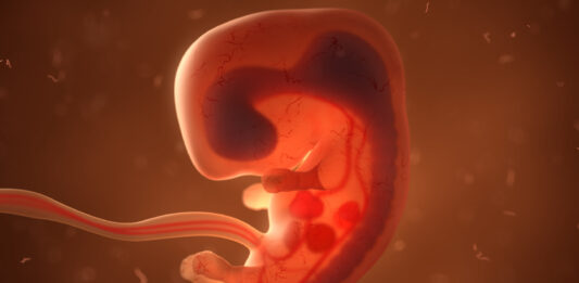 Curiosidades del Embarazo _ Datos sorprendentes de esta etapa