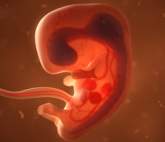 Curiosidades del Embarazo _ Datos sorprendentes de esta etapa