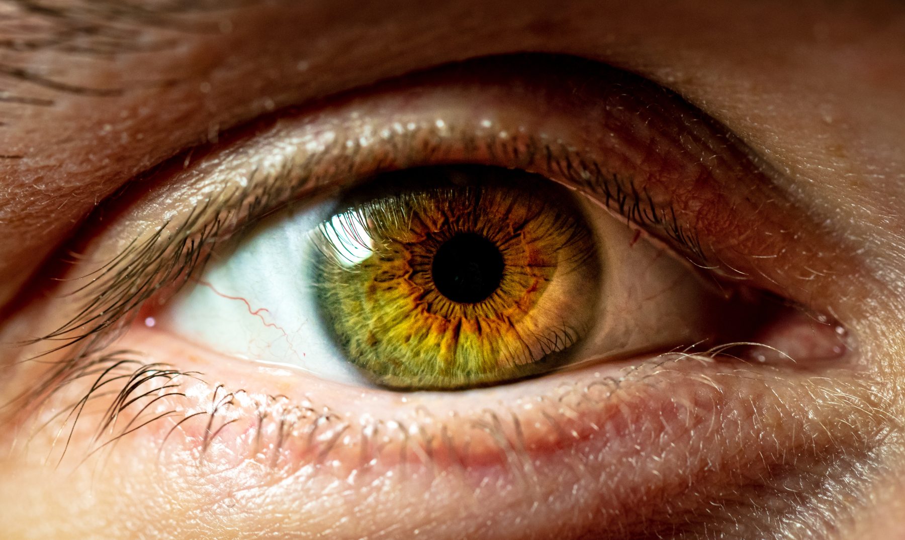 Que Determina El Color De Los Ojos Descubre La Respuesta
