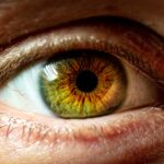 Qué determina el color de los ojos, Descúbrelo