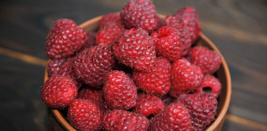 Raspberry ketone, funciona este quemagrasas
