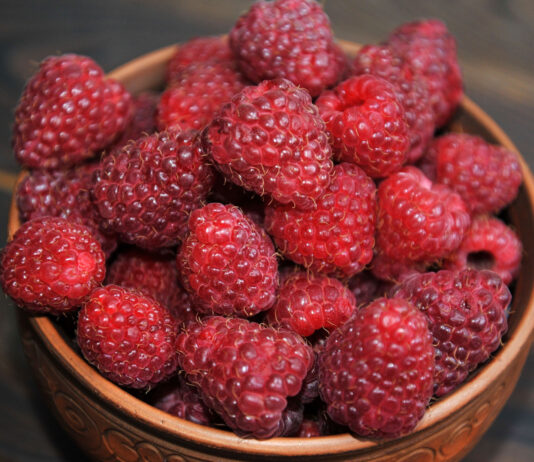 Raspberry ketone, ¿funciona este quemagrasas? Raspberry ketone, funciona este quemagrasas