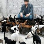 Síndrome de Noé. El trastorno por acumulación de animales.