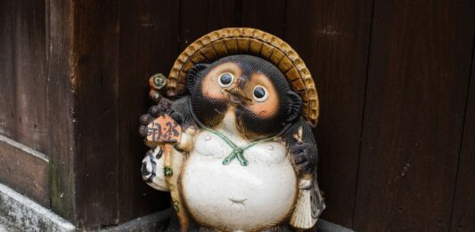 Tanuki japonés | El curioso perro mapache de la fortuna Tanuki japonés, El curioso perro mapache de la fortuna