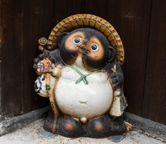 Tanuki japonés | El curioso perro mapache de la fortuna Tanuki japonés, El curioso perro mapache de la fortuna