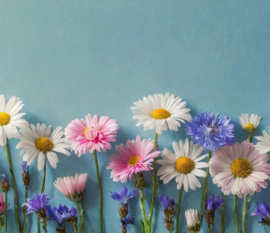 Lenguaje de las flores | Qué es la floriografía victoriana Lenguaje de las flores