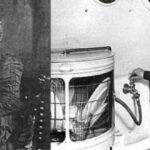 La curiosa evolucion de los lavavajillas..