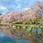 Planes en Tokio