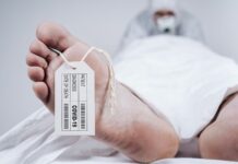 ¿Cuánto tarda un cuerpo en descomponerse? | Descúbrelo Cuánto tarda un cuerpo en descomponerse, Descúbrelo