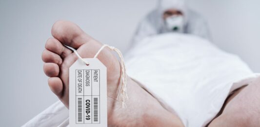 Cuánto tarda un cuerpo en descomponerse, Descúbrelo