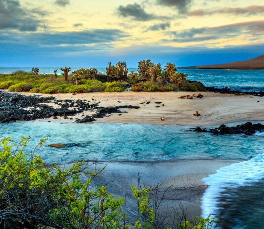 ¿Cómo se forman las Islas? | Un fenómeno sorprendente Cómo se forman las islas, un fenómeno soprendente