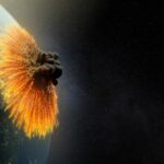 Teorías sobre el Fin del Mundo | ¿Acertará alguna de ellas?