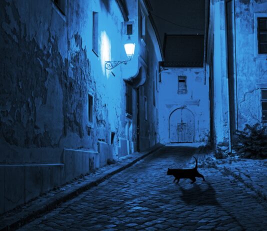 De noche todos los gatos son pardos | ¿qué significa esta expresión?