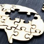 ¿Por qué el cerebro tiene dos hemisferios?