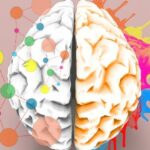¿Por qué el cerebro tiene dos mitades?