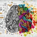 ¿Por qué el cerebro tiene dos mitades? |  ¡Descúbrelo!