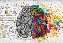 ¿Por qué el cerebro tiene dos mitades? | ¡Descúbrelo! ¿Por qué el cerebro tiene dos mitades? | ¡Descúbrelo!