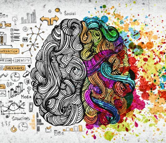 ¿Por qué el cerebro tiene dos mitades? | ¡Descúbrelo!