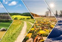 ¿Por qué existen las estaciones del año? | Secretos de las 4 estaciones Por qué existen las estaciones del año