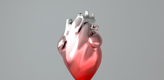 El corazón en 3D | ¿El futuro de los trasplantes de órganos? El corazón en 3D