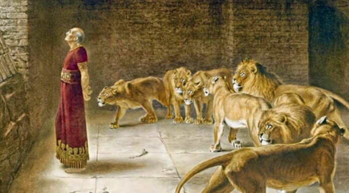San Daniel | El profeta que sobrevivió al foso de los leones