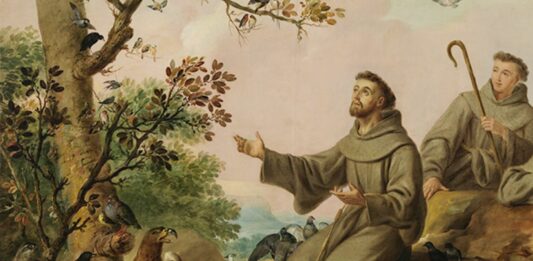 Quién fue San Francisco de Asís, Conoce la vida del santo
