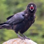 Preguntas de cultura general