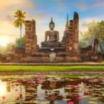 curiosidades del saber