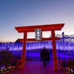 Decoraciones-navideñas-en-japon