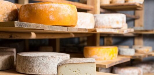 Qué es la Turofobia