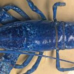 langosta-Azul