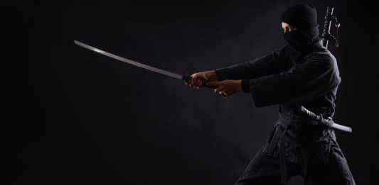 existieron los ninjas