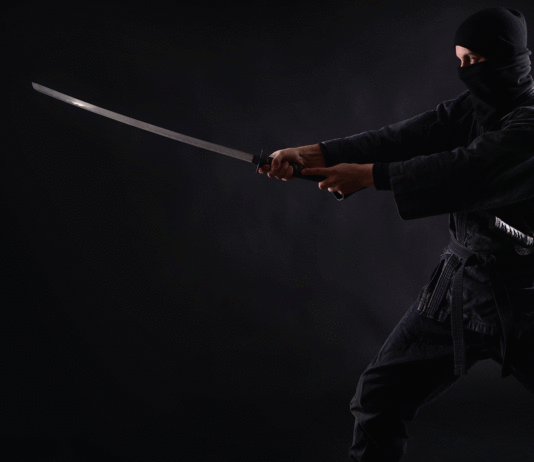 existieron los ninjas