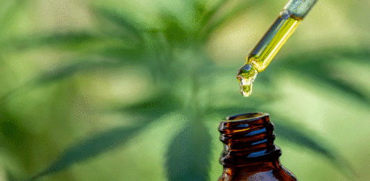 equilibrio mente cuerpo cbd