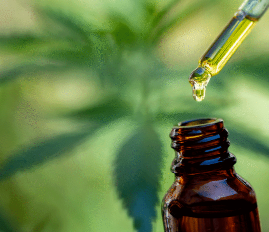 equilibrio mente cuerpo cbd