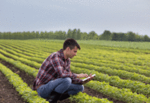 tecnología de analisis espacial en la agricultura
