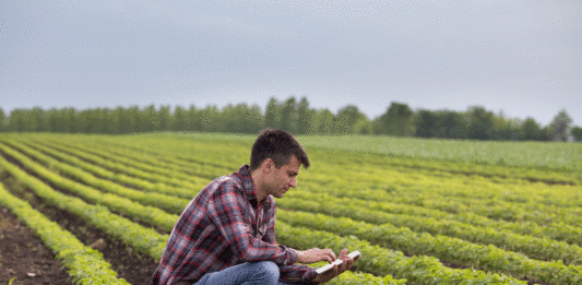 Tecnologías Emergentes en Agricultura Sostenible: ¿Cuáles Son? tecnología de analisis espacial en la agricultura