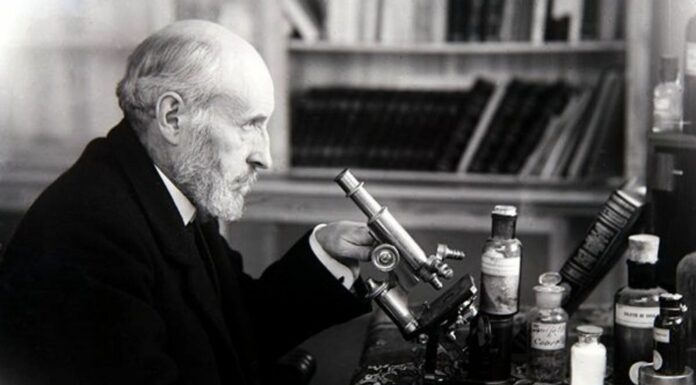 ¿Quién fue Santiago Ramón y Cajal?