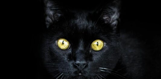 Origen de las supersticiones