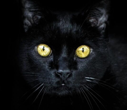Origen de las supersticiones más comunes | Mitos ancestrales vigentes Origen de las supersticiones