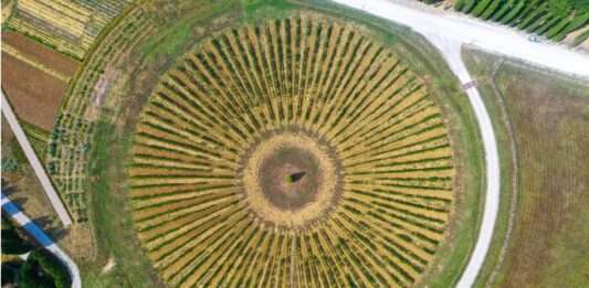 Círculos en los Cultivos