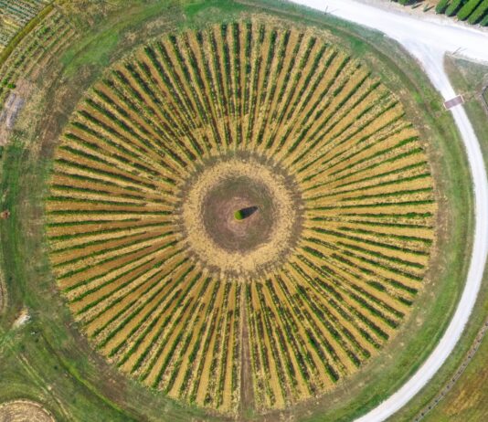 Círculos en los Cultivos