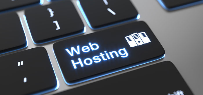 como escoger web hosting