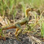 Compsognathus