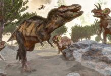 datos curiosos de los dinosaurios