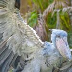 las-aves-son-dinosaurios