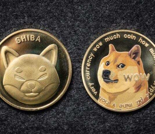 Shiba Inu Vs Dogecoin: una guía introductoria Shiba Inu Vs Dogecoin